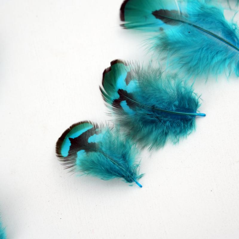 Natural DIY Pheasant Feathers  - Wedding Supply In Bulk review and price