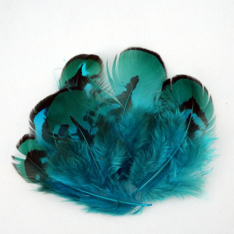 Natural DIY Pheasant Feathers  - Wedding Supply In Bulk review and price