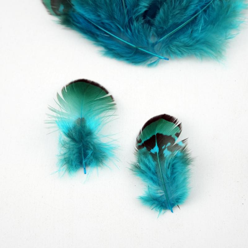 Natural DIY Pheasant Feathers  - Wedding Supply In Bulk review and price