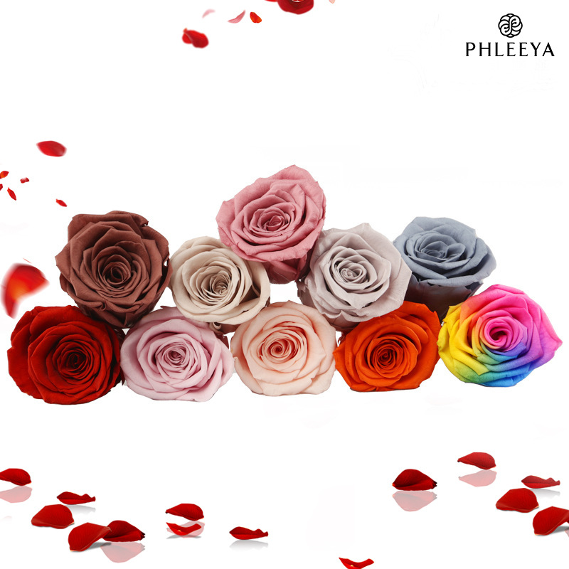 6pcs Eternal Rose Flower Heads - Wedding Supply In Bulk review and price