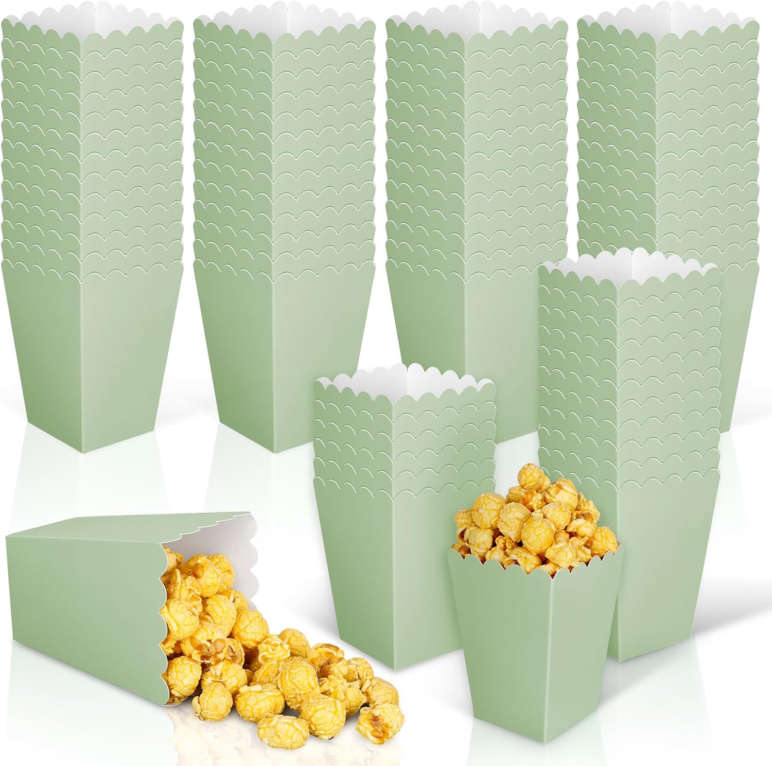 12 pcs  Sage Green Mini Popcor - Wedding Supply.Box review and price