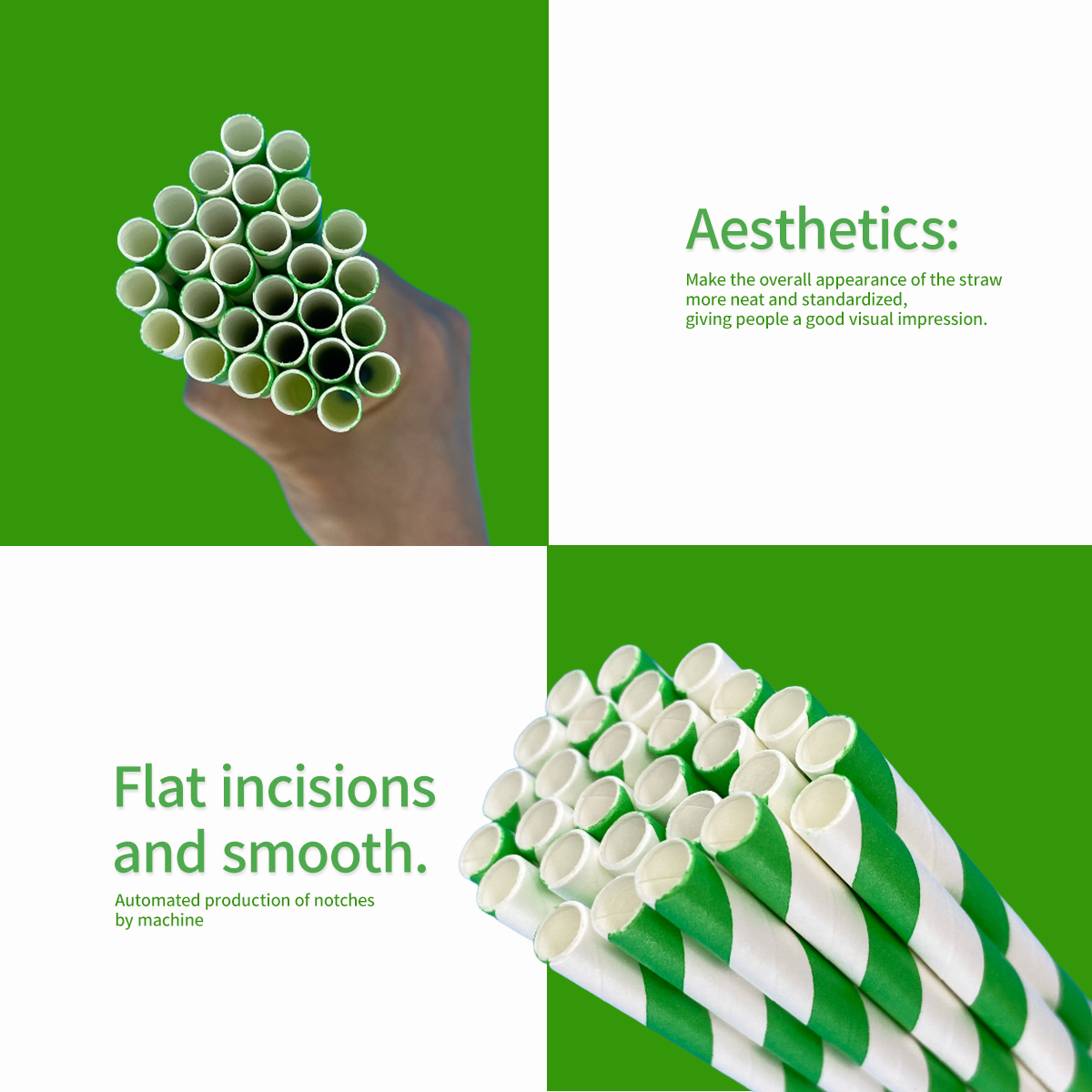 100 Pcs Biodegradable Green an - Wedding Supply In Bulk review and price